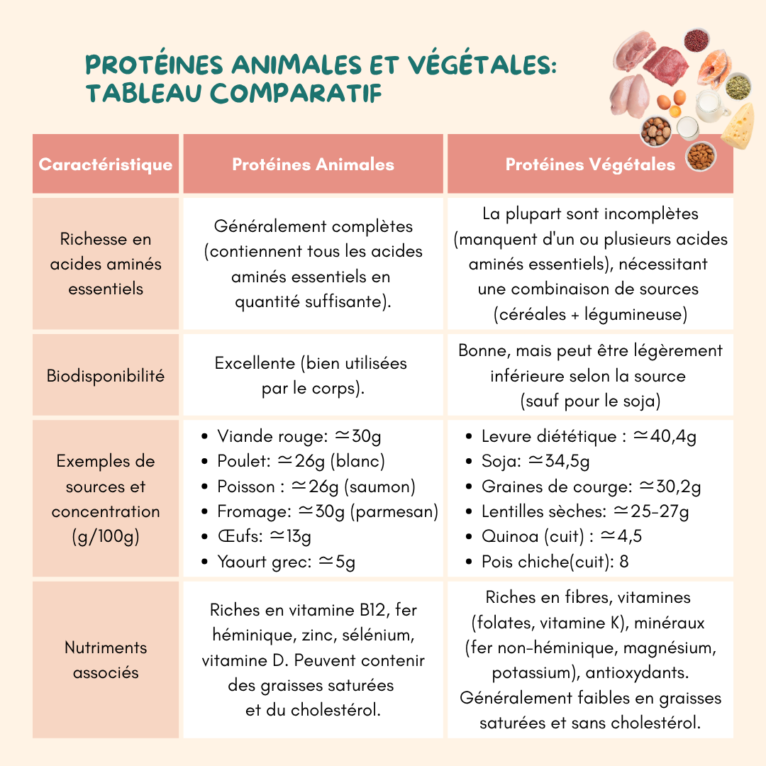 Protéines Animales et Végétales - Tableau Comparatif